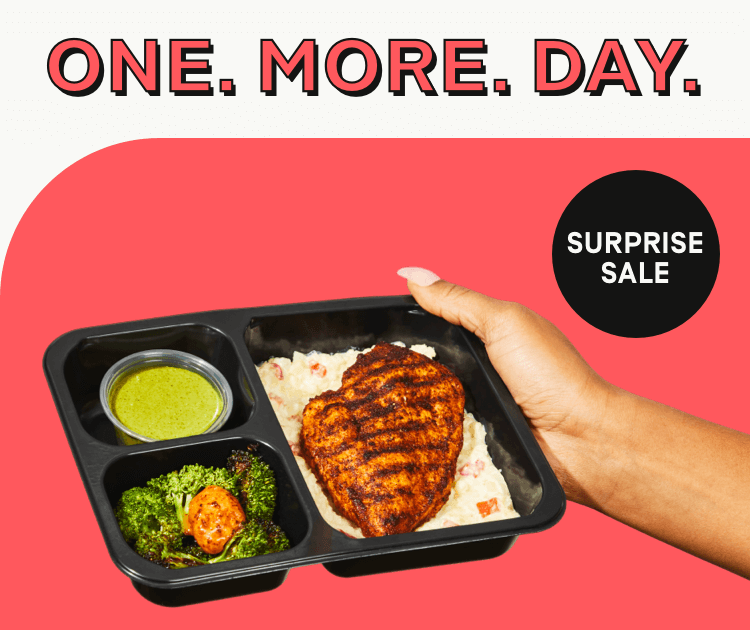 ONE. MORE. DAY. Surprise Sale! 65% OFF